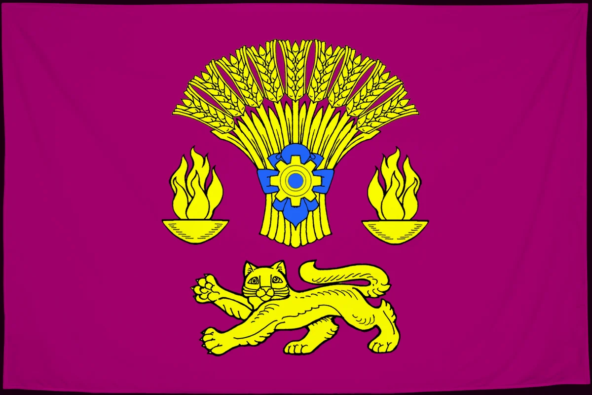 Флаг: Котовский район